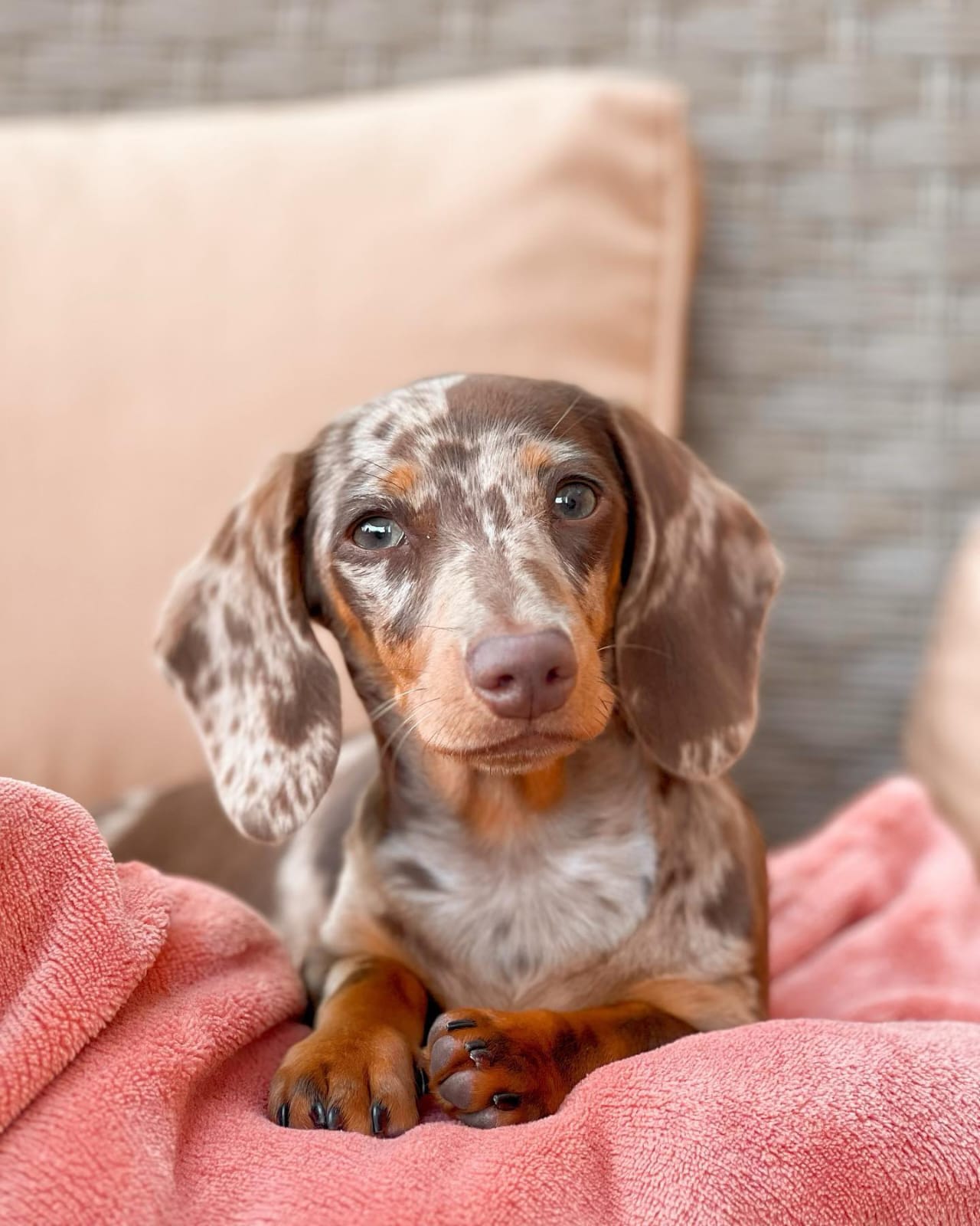 WhatsApp-Image-2024-03-25-at-5.10.44-PM-1