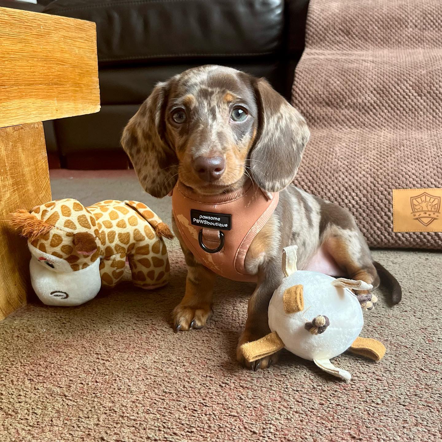 WhatsApp-Image-2024-03-25-at-5.10.44-PM