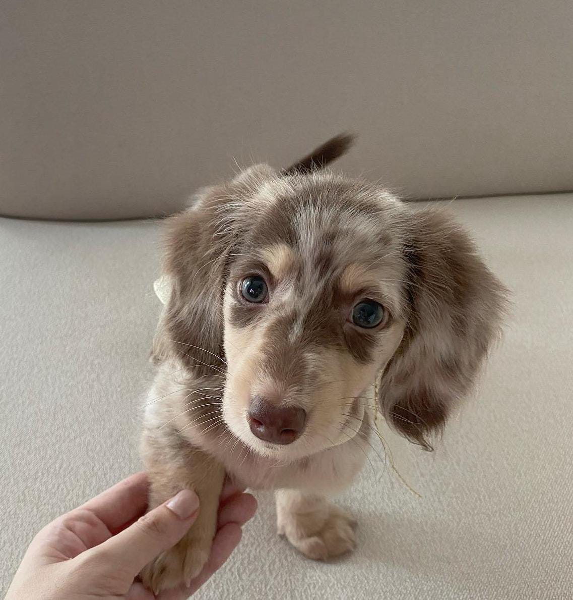 WhatsApp-Image-2024-03-25-at-5.52.57-PM-2