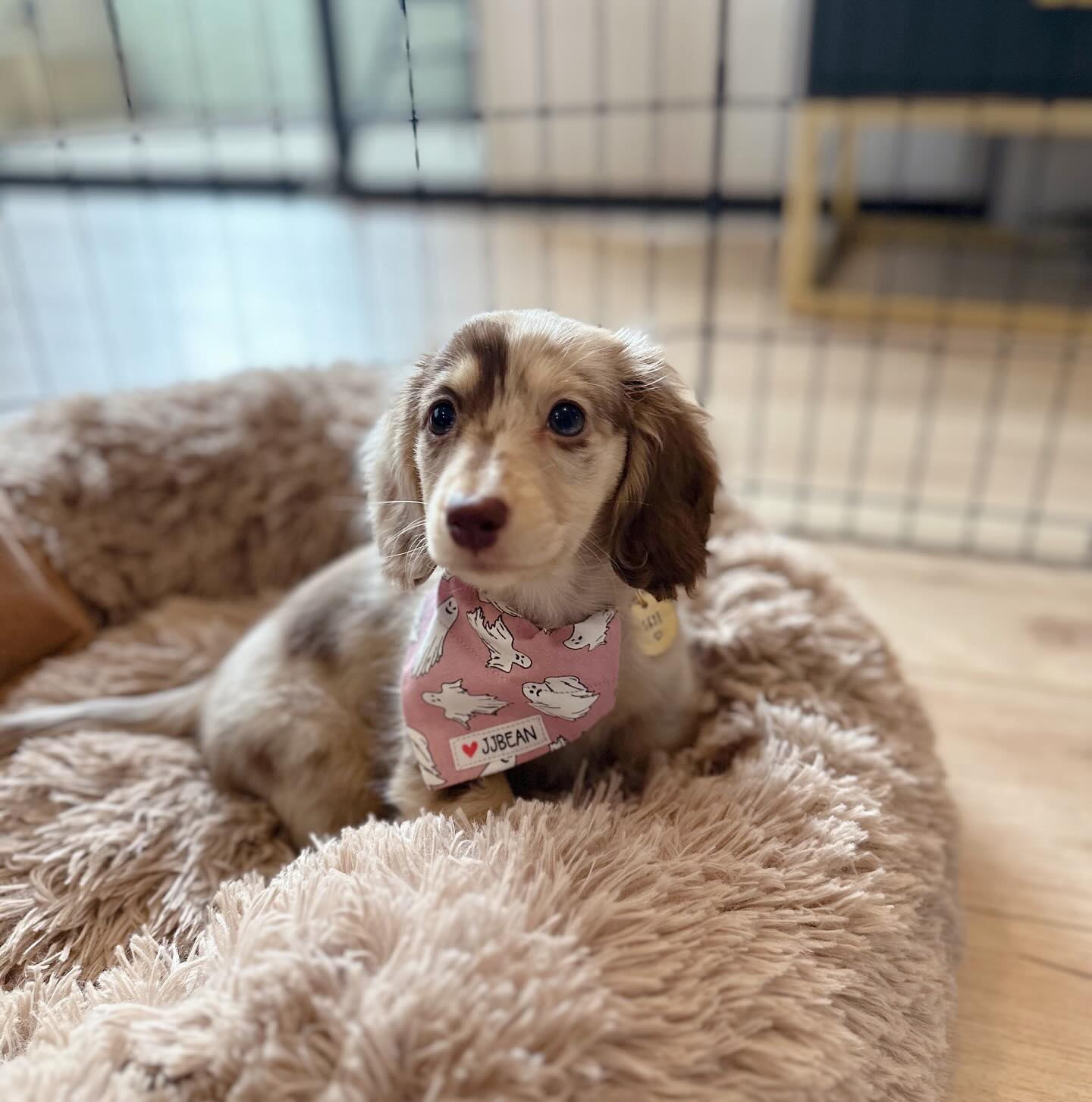 291adcb1-9ebc-4062-9f73-c43452e3a0ed