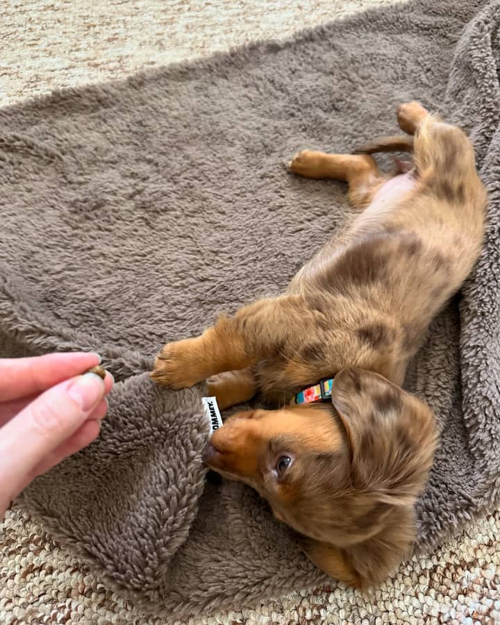 a0f235f9-8246-49c3-9835-641b193cee16