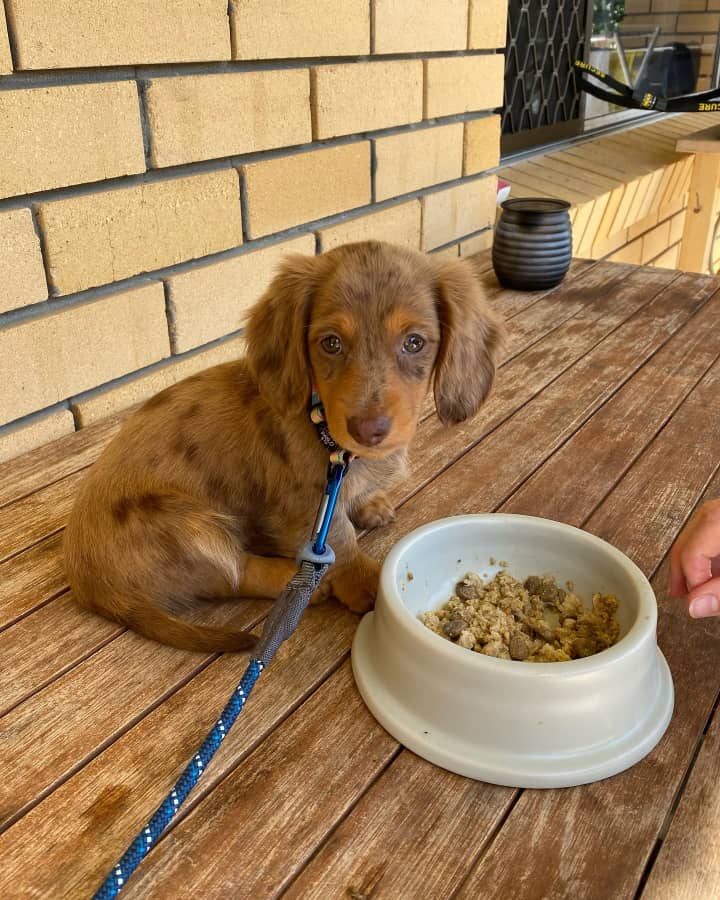 a4c33c73-16b0-4235-b9b2-477ca8bb1b56