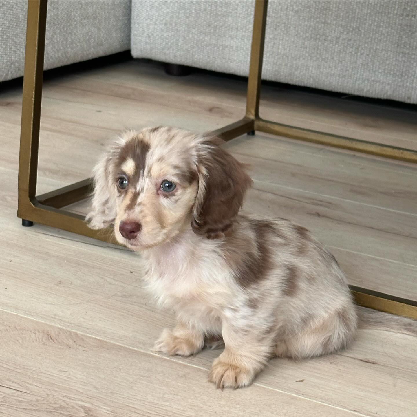 bb686aea-0961-4421-8328-9f96ffff5280